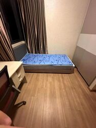 The Rainforest (D23), Condominium #523778681